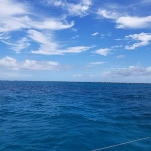 Meet your Posher, Brittney